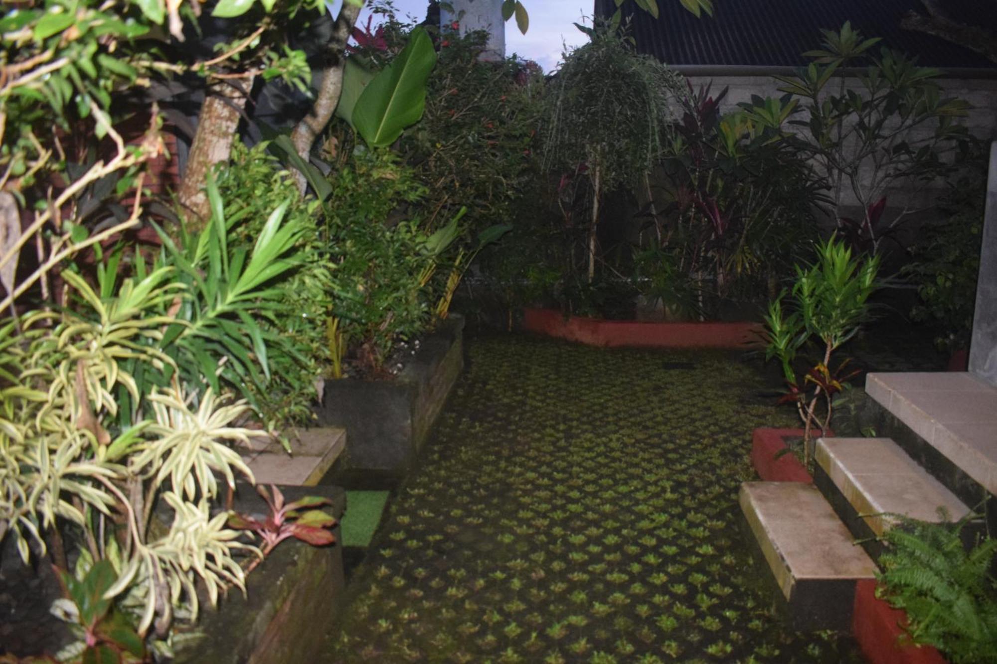 Werkudara Guest House Ubud  Ngoại thất bức ảnh